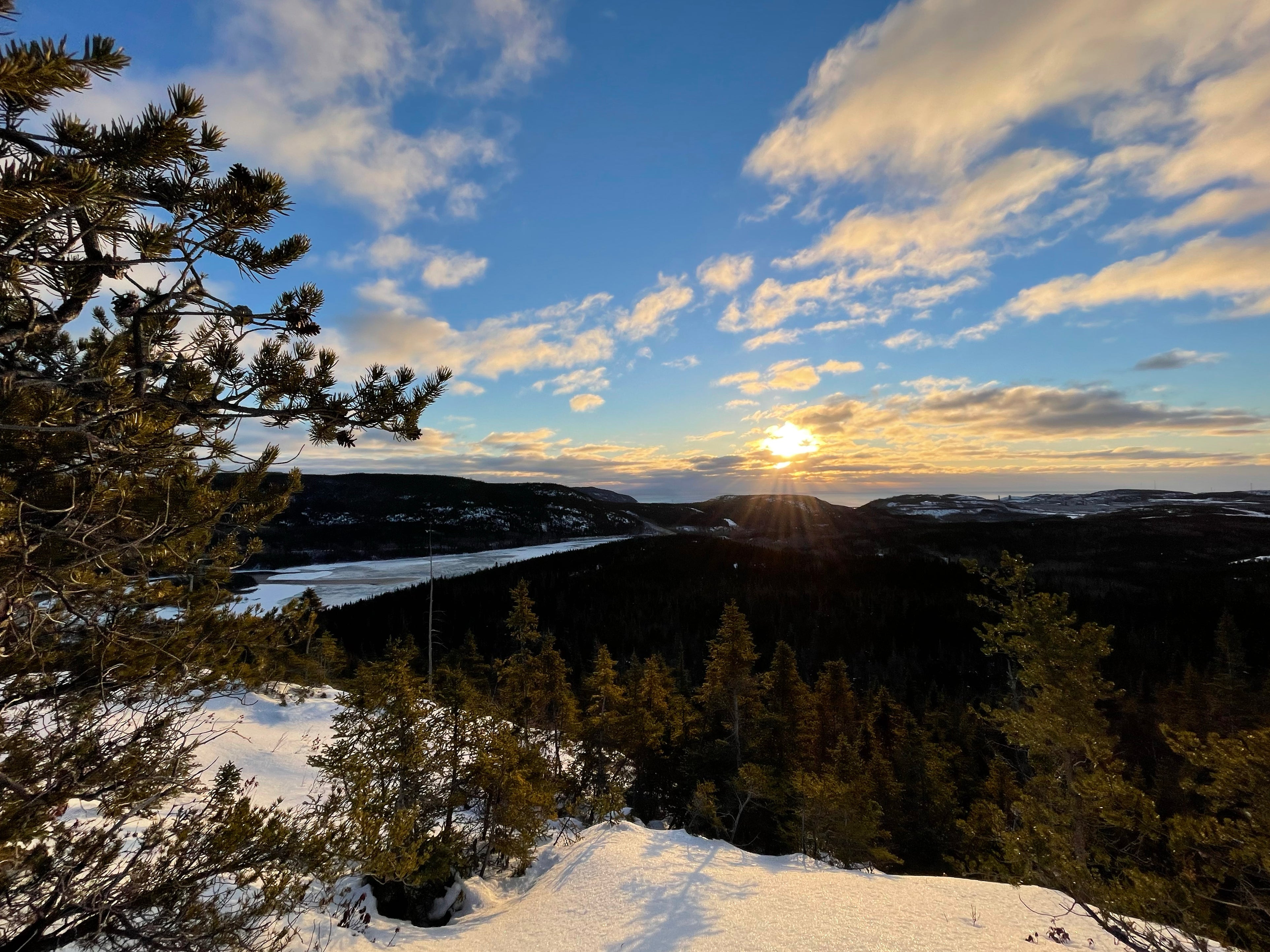 sentiers de raquettes Rémi Bourque, boucle Whistler, Baie-Comeau