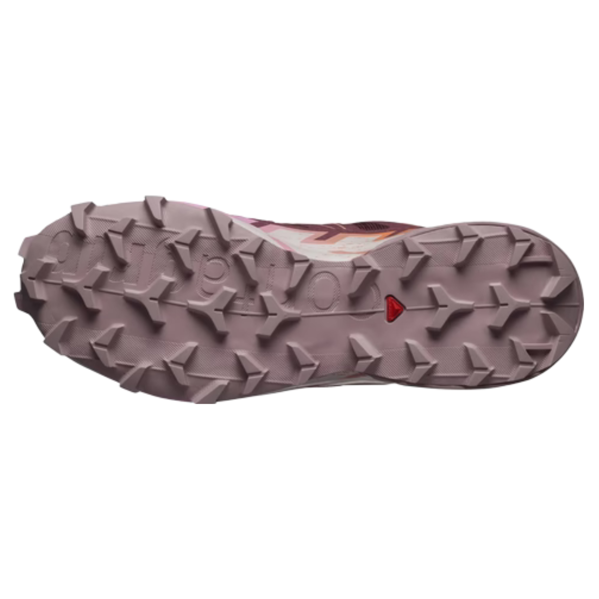 Salomon Chaussures De Course en Sentier Speedcross 6 - Femme