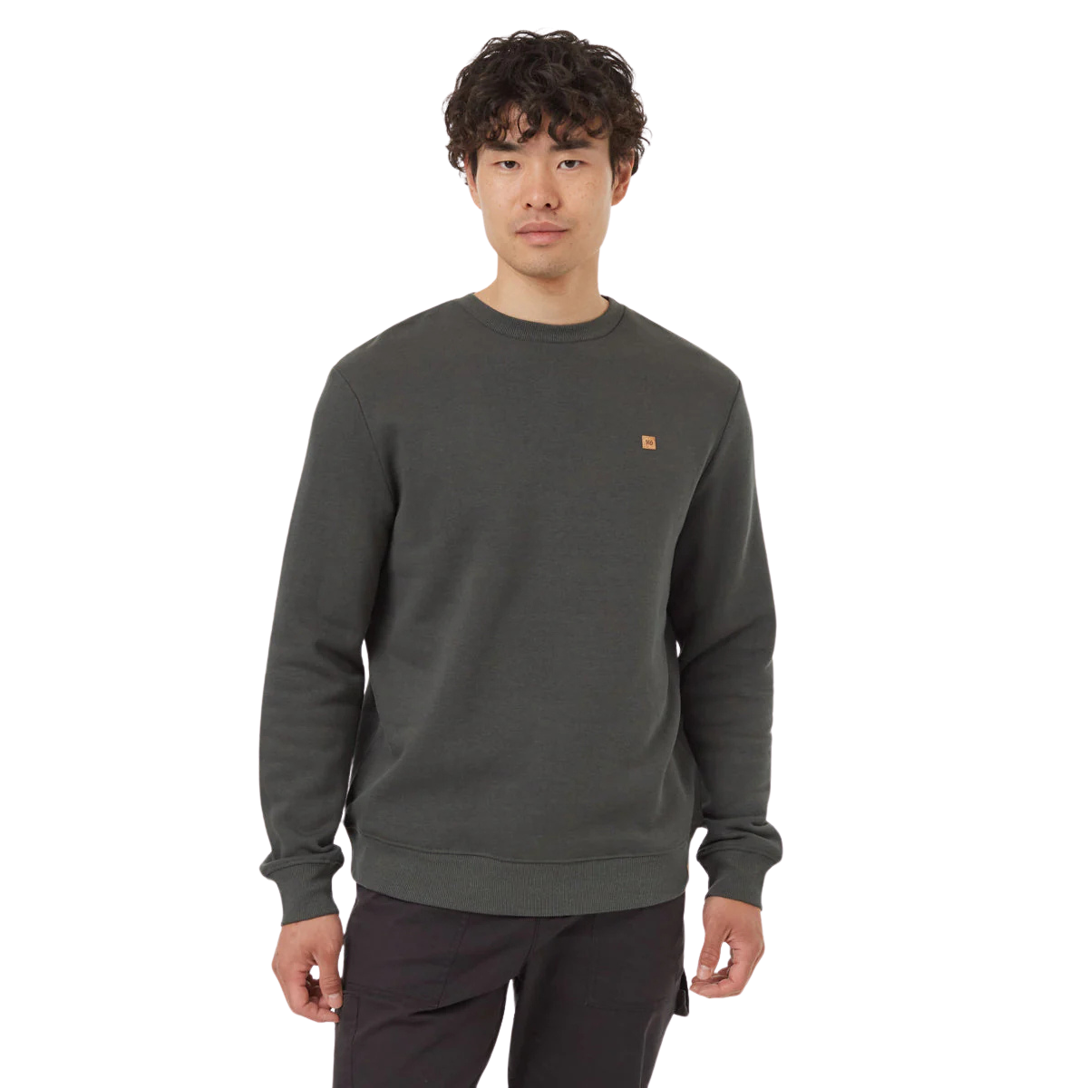 Tentree Chandail TreeFleece Classic - Homme