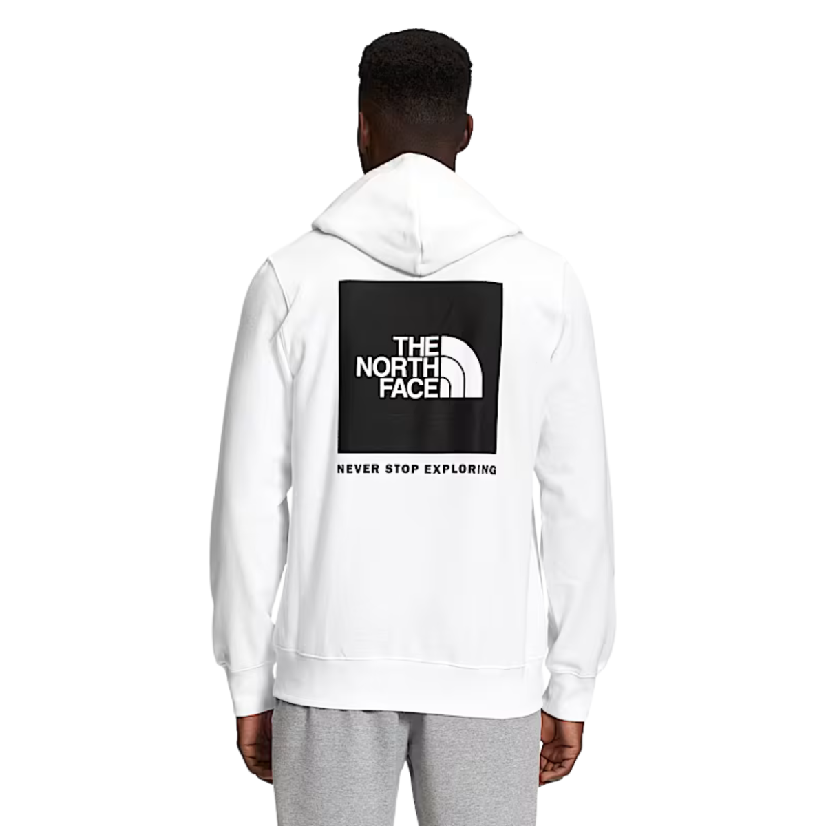 The North Face Chandail À Capuchon Box Nse - Homme