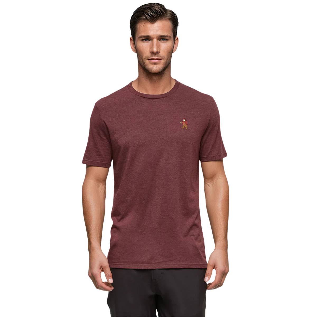 Tentree T-Shirt Sasquatch - Homme