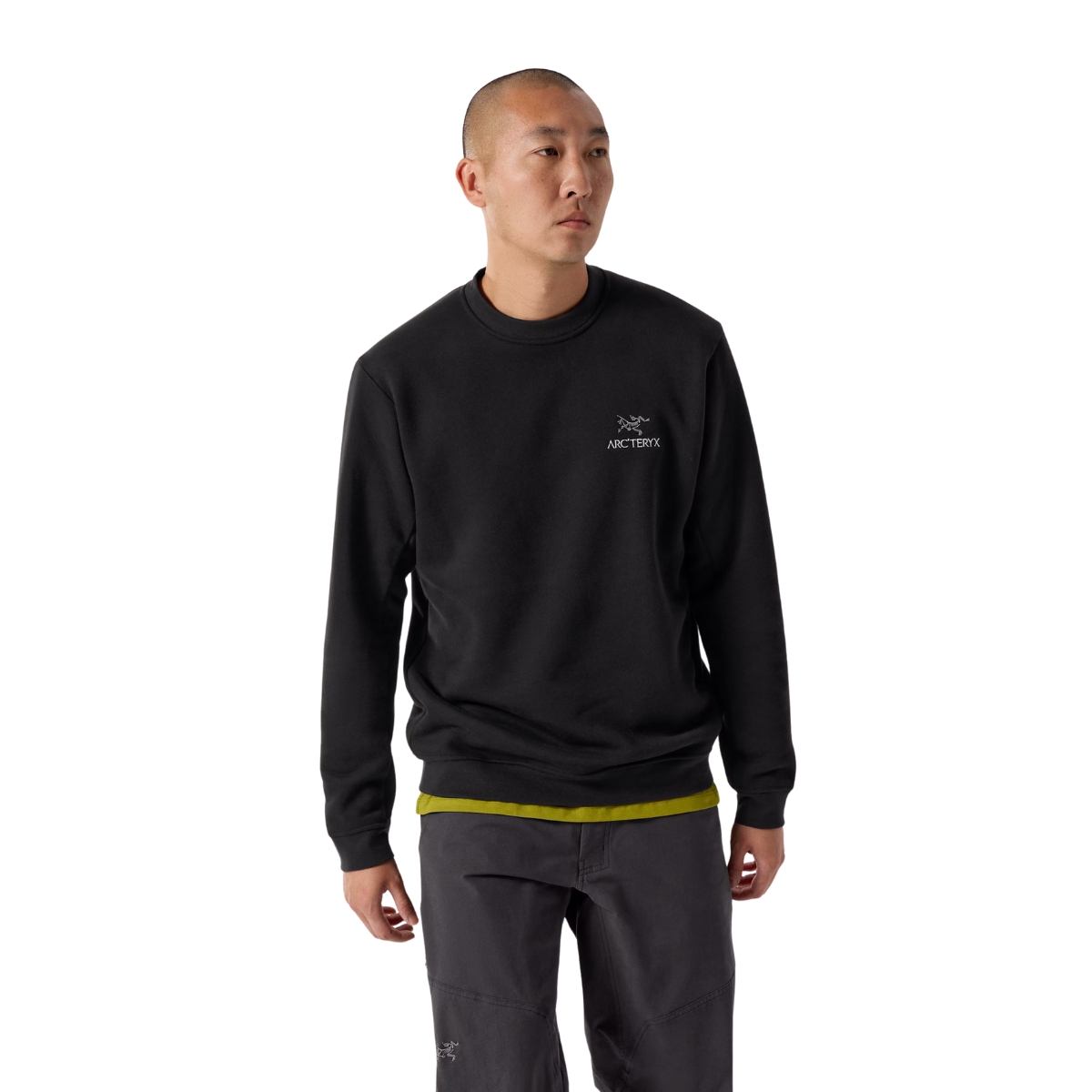 x000009787
Arc'teryx Chandail À Manches Longues Polaire Emblème - Homme - NOIR