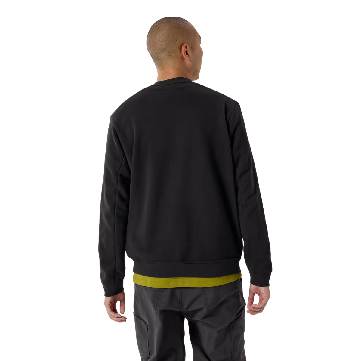 Arc'teryx Chandail À Manches Longues Polaire Emblème - Homme