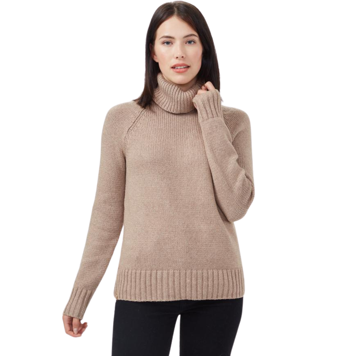 Tentree Chandail Highline Wool Turtleneck - Femme tcw2505 - BEIGE
