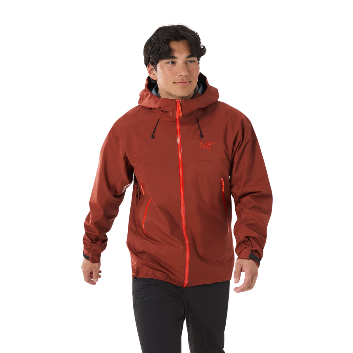 Arc'teryx Veste Beta SL GORE-TEX- Homme x000009681 - SEQUOIA/SOLARIS
