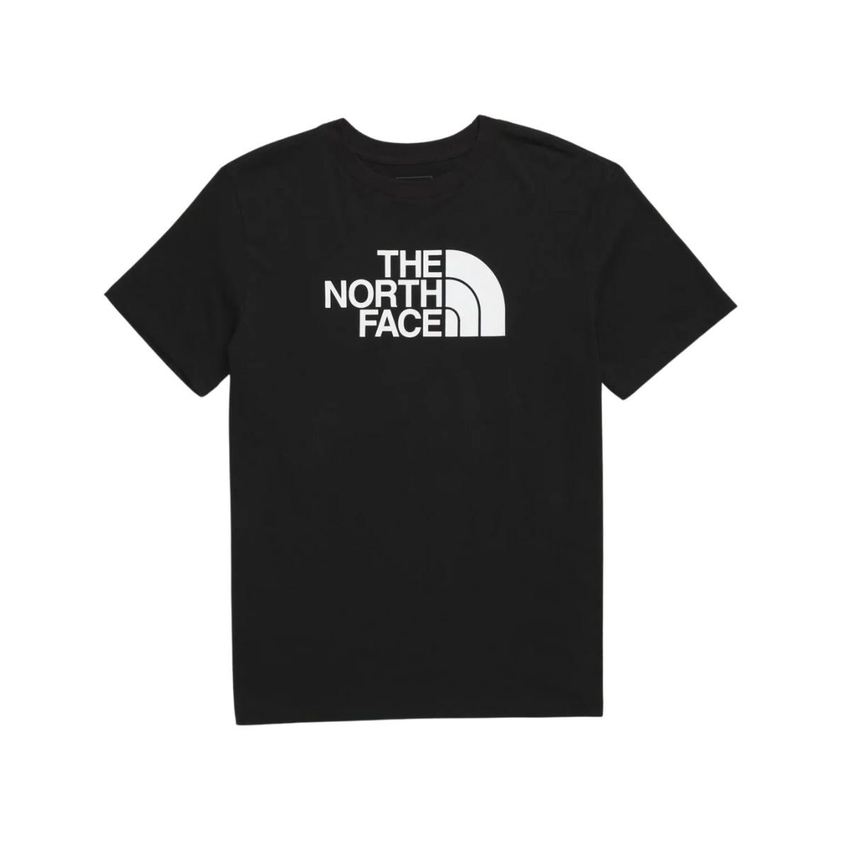 The North Face T-Shirt Evolution Half Dome - Femme