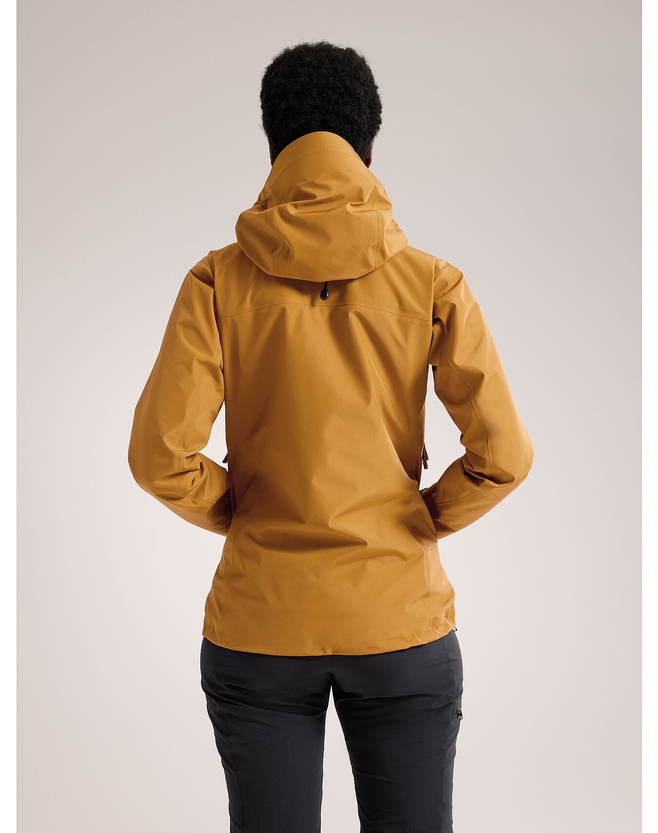 Arc'teryx Veste Beta LT- Femme