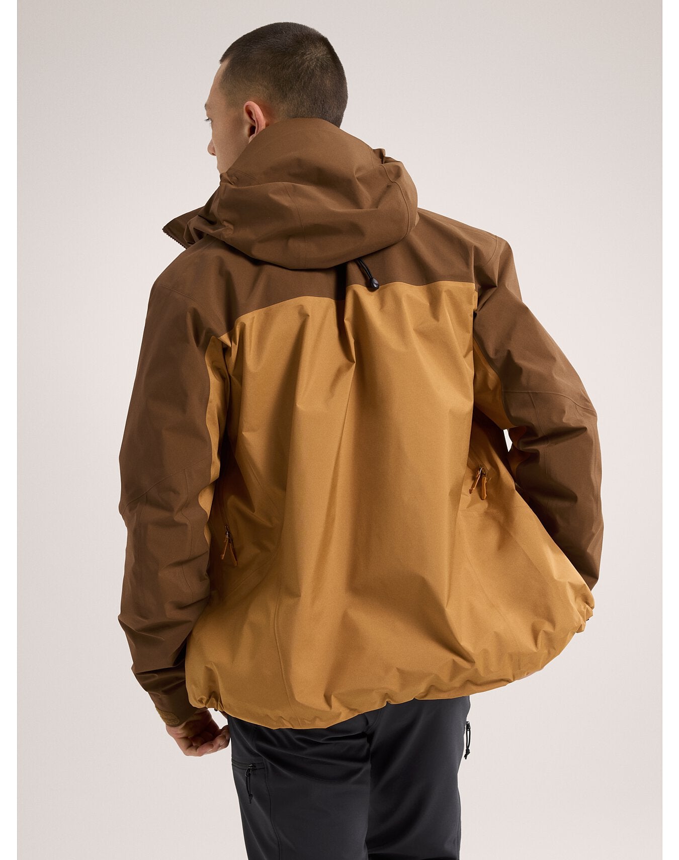 Arc'teryx Veste Beta AR - Homme