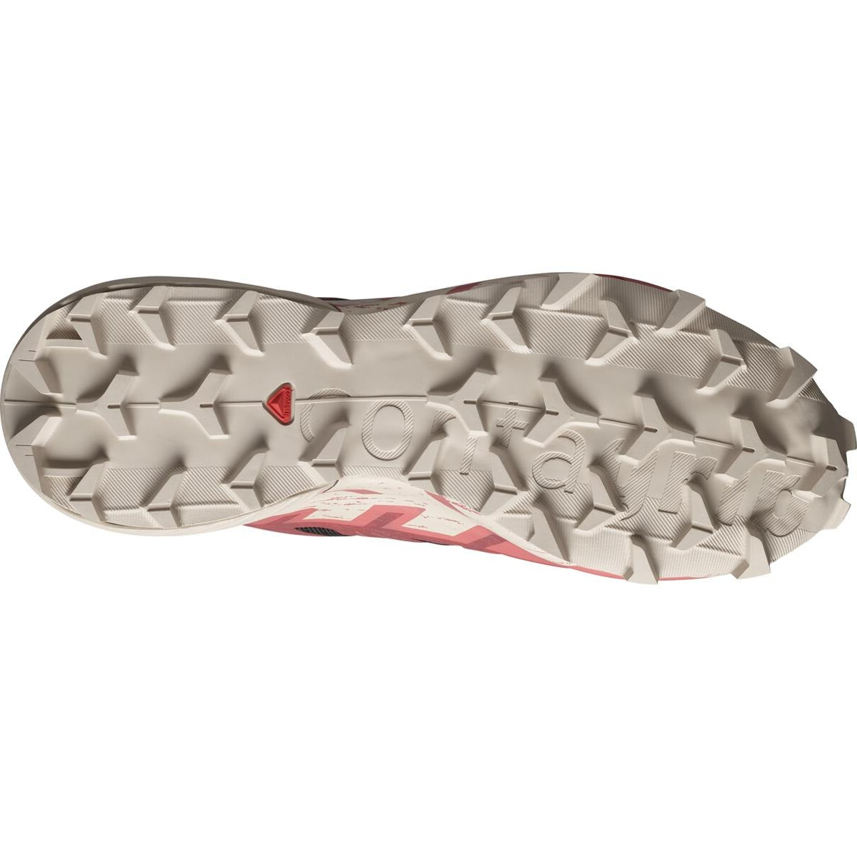Salomon Chaussures De Course En Sentier Speedcross 6 GTX - Femme