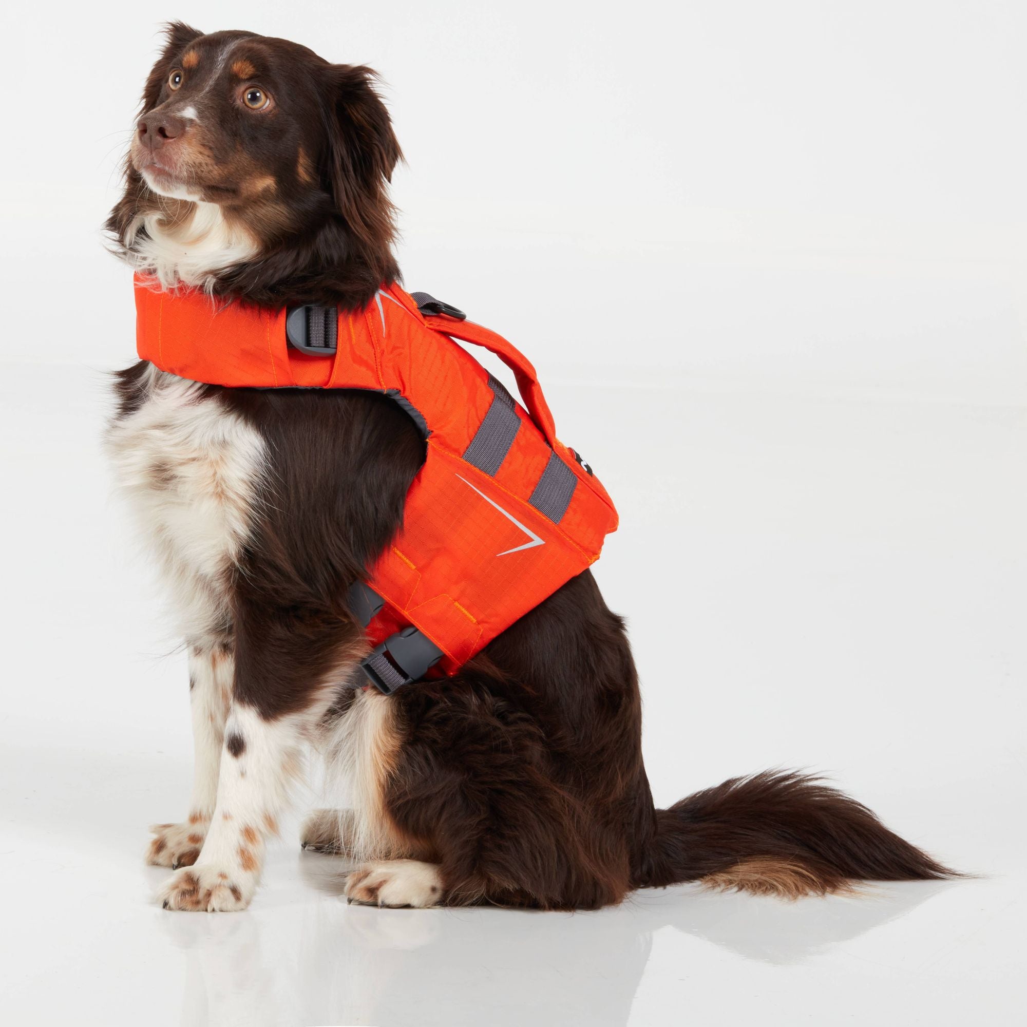 NRS Veste De Flottaison Pour Chien Dog Life