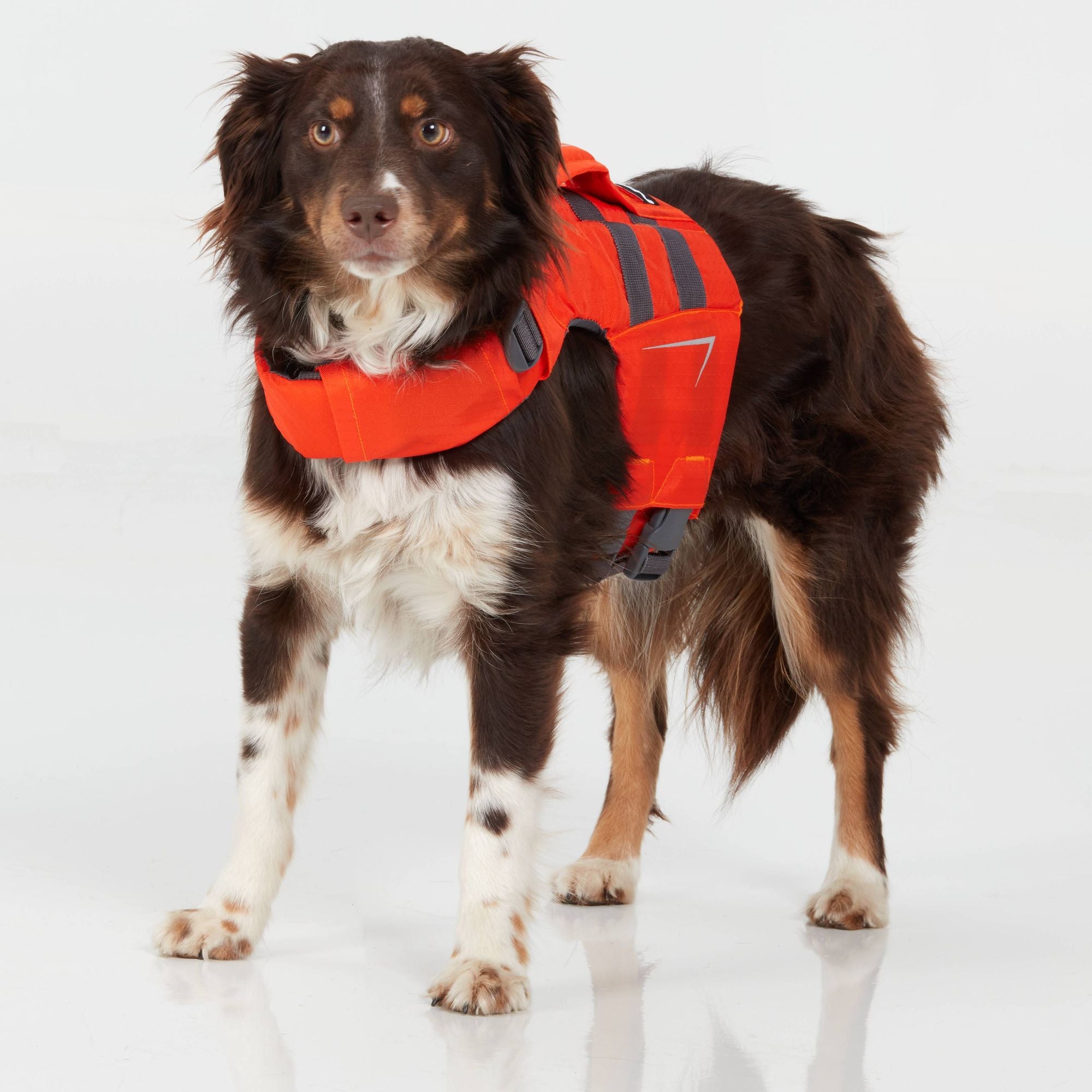 NRS Veste De Flottaison Pour Chien Dog Life