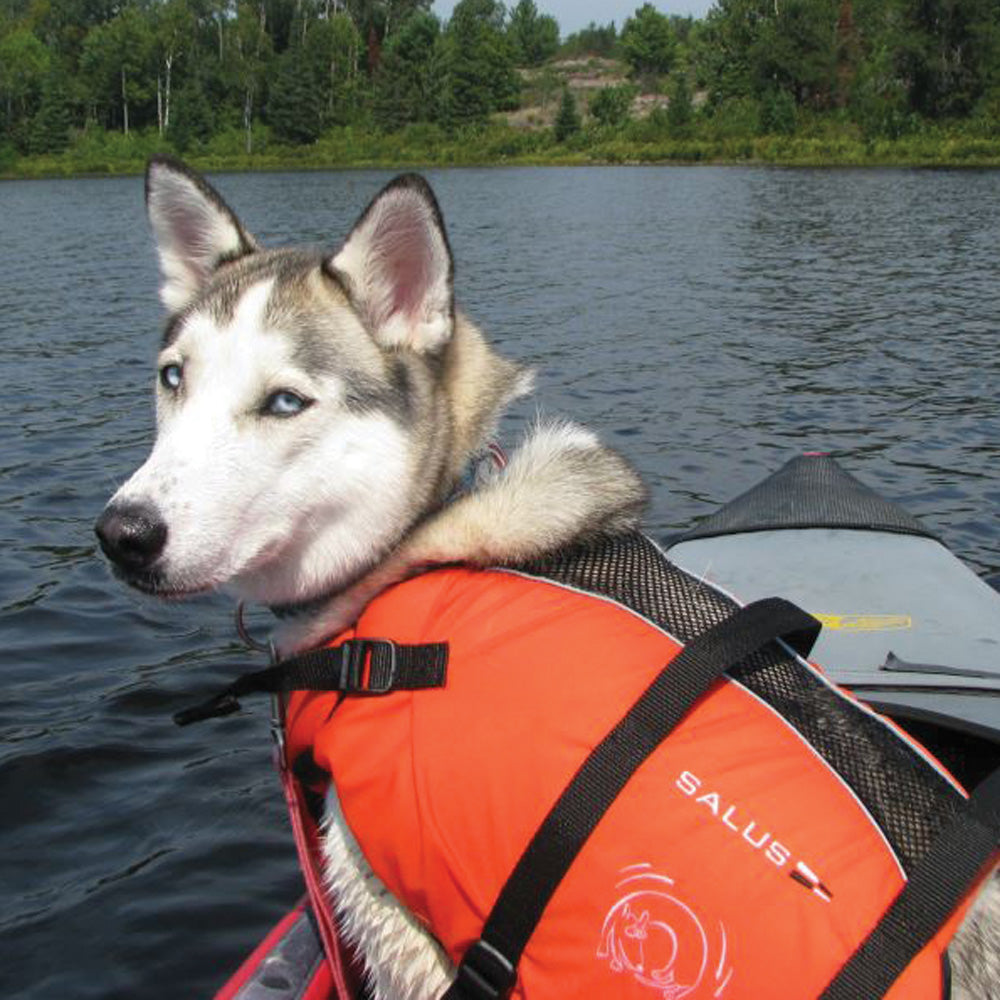 Salus Veste De Flottaison Skippy Pour Petit Et Moyen Chien