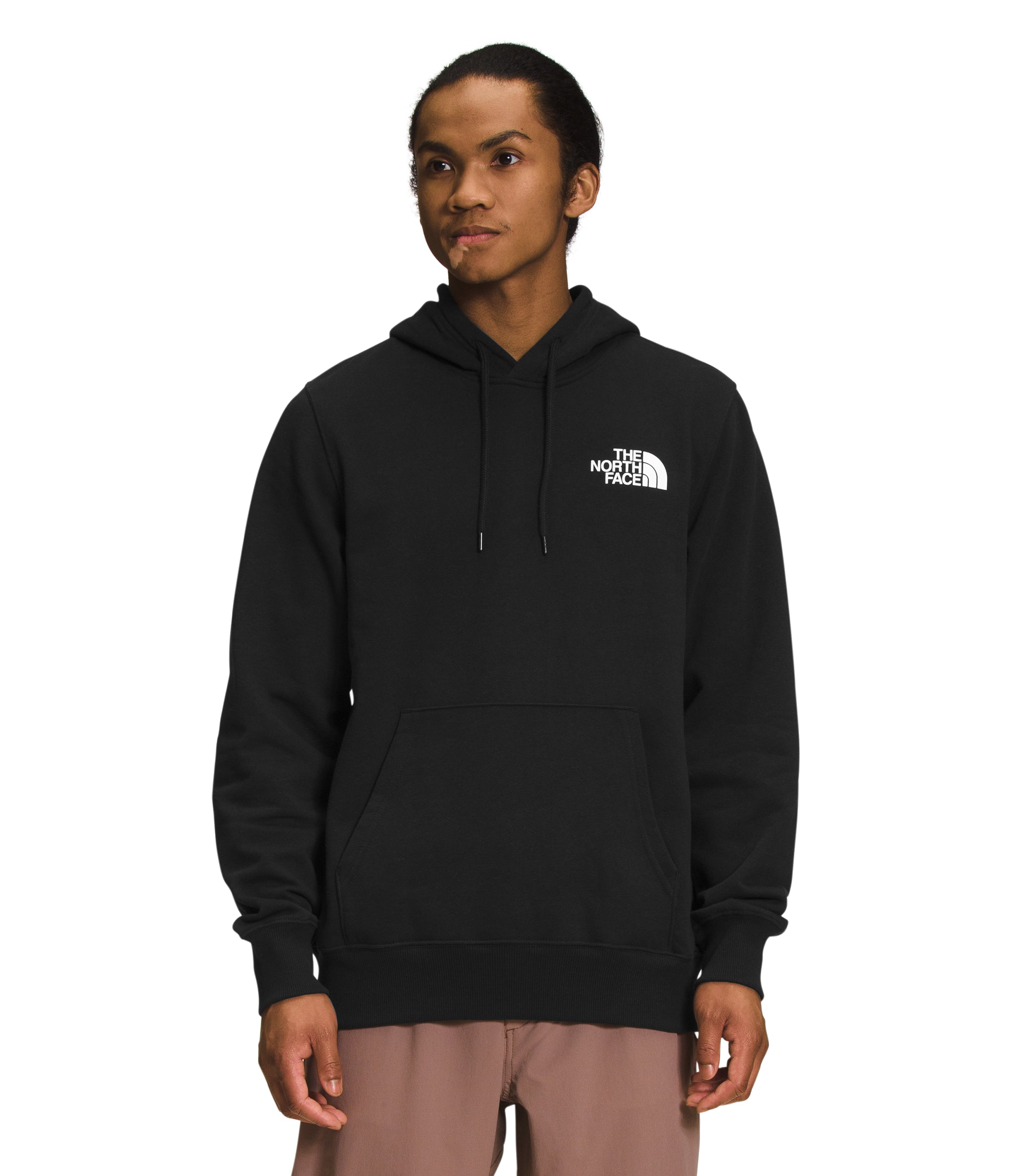 The North Face Chandail À Capuchon Box Nse - Homme nf0a7uns - NOIR