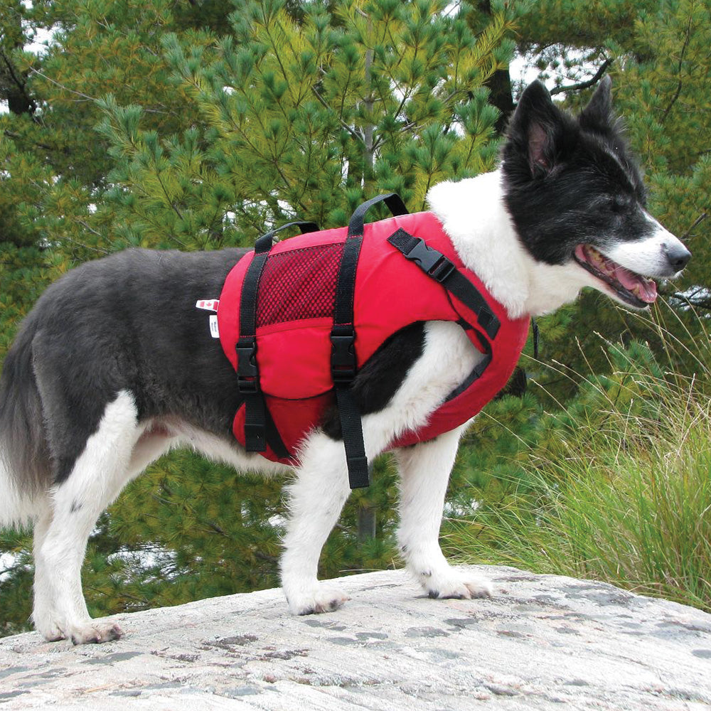 Salus Veste De Flottaison Skippy Pour Petit Et Moyen Chien