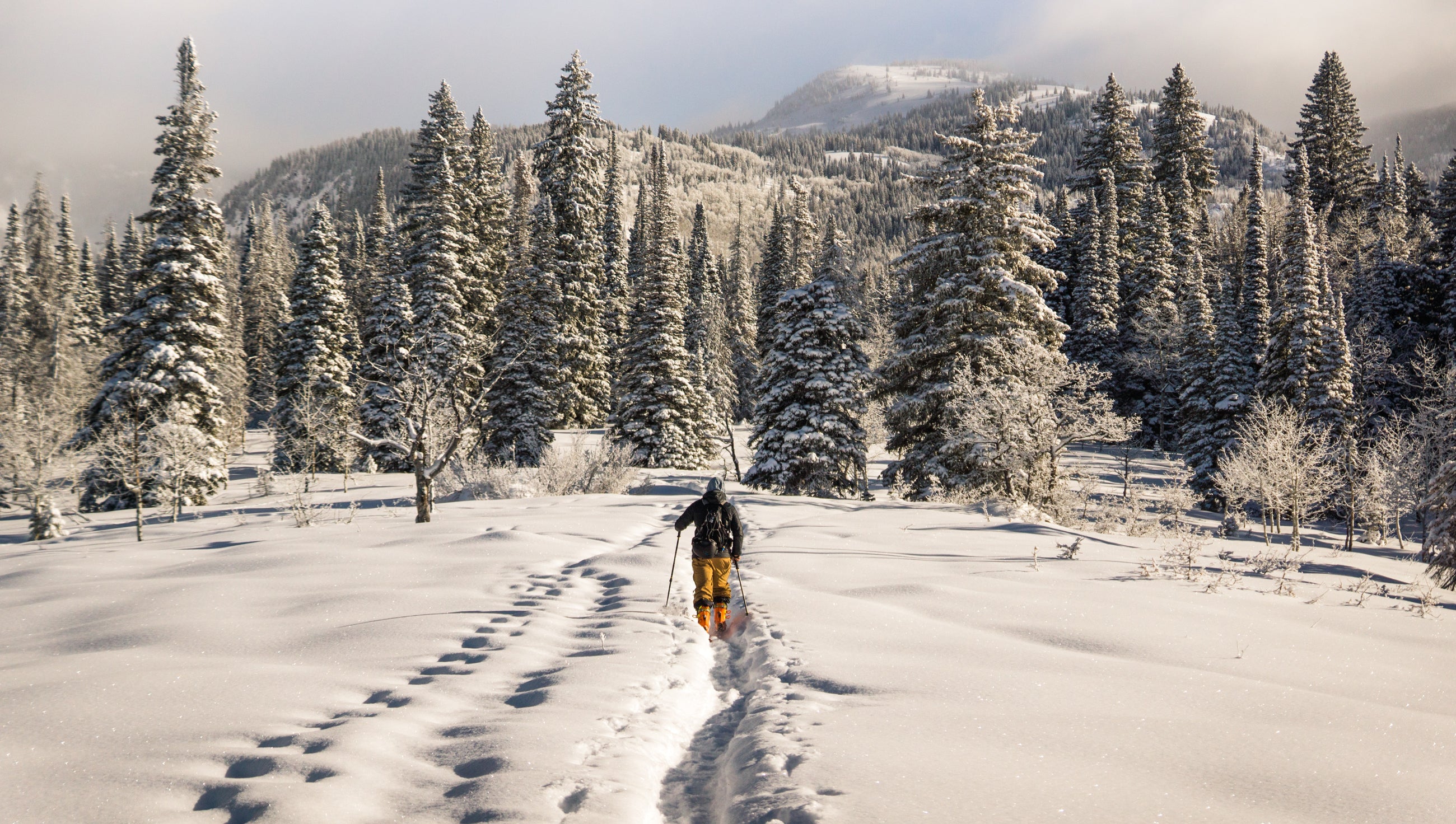 Hiver ski hors piste  Spin sports et plein air