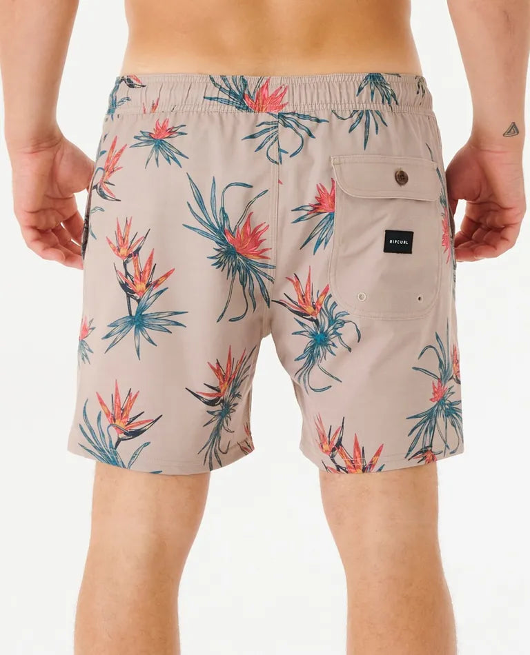 Rip Curl Short Paradiso Volley - Homme