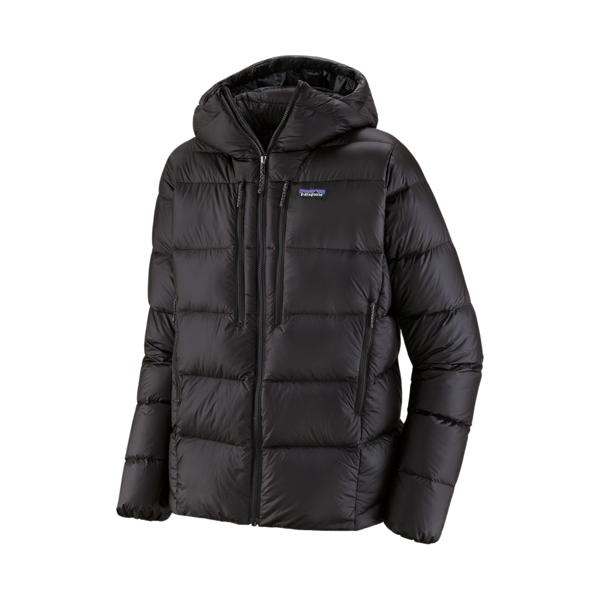 Patagonia Manteau Fitz Roy Down - Homme  85500 - NOIR