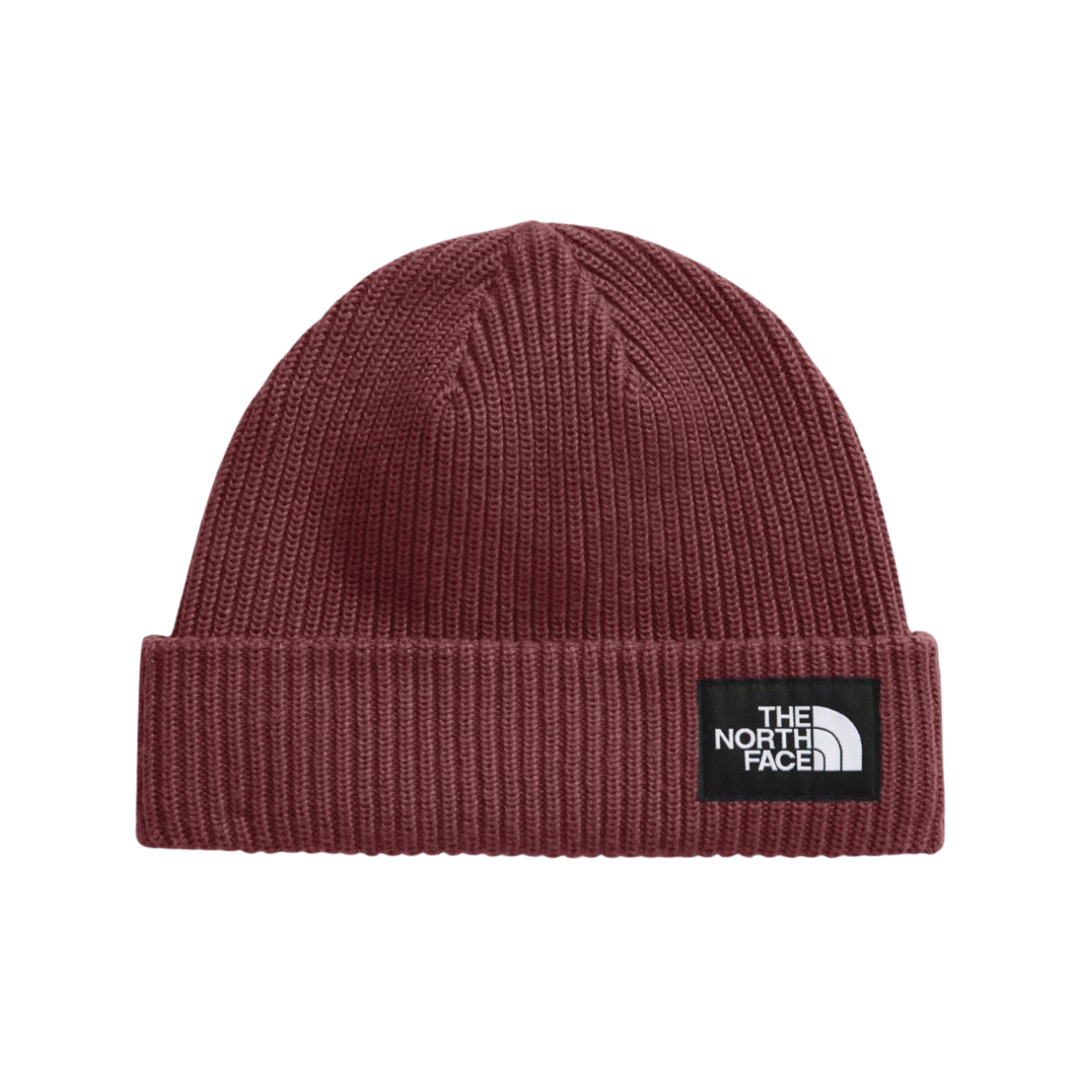 nf0a8cgz

The North Face Tuque Salty Lined Beanie - Unisexe - SUMAC