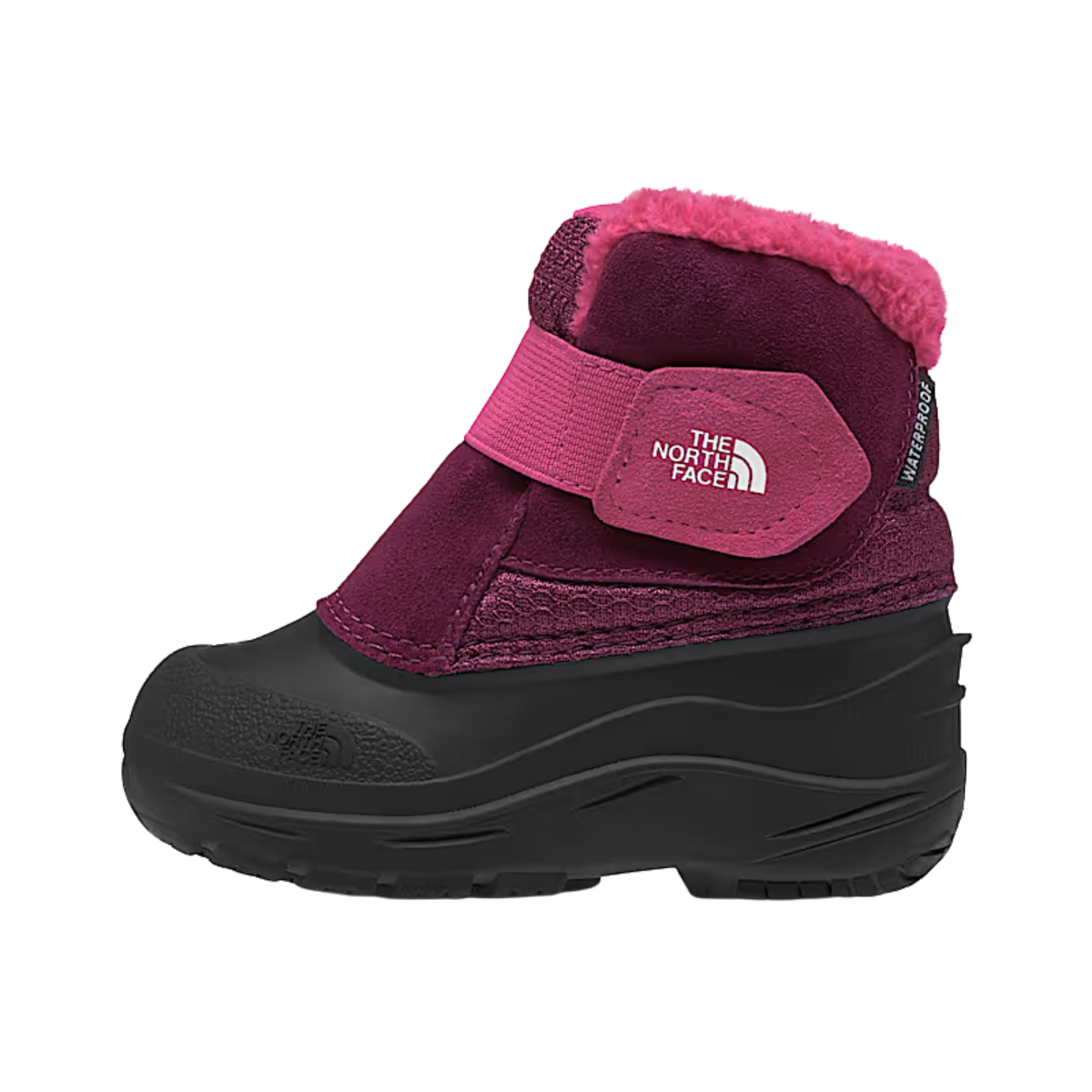 nf0a3fyo

The North Face Bottes Toddler Alpenglow II - Enfant - BOYSENBERRY/TNF BLACK