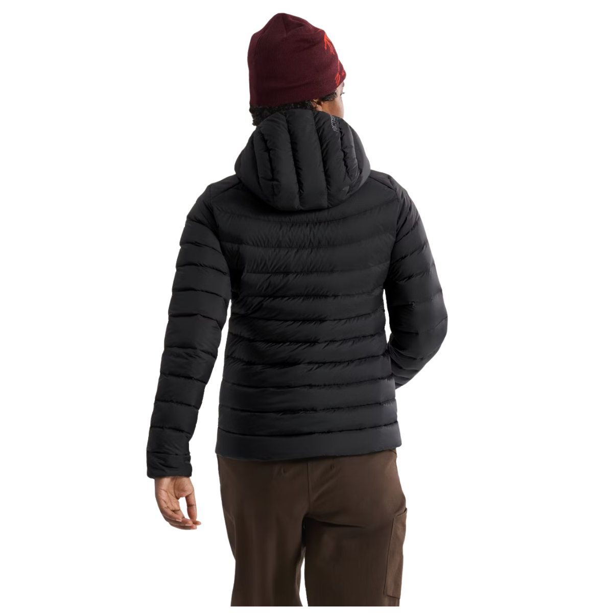 Arc'teryx Veste À Capuchon Cerium - Femme