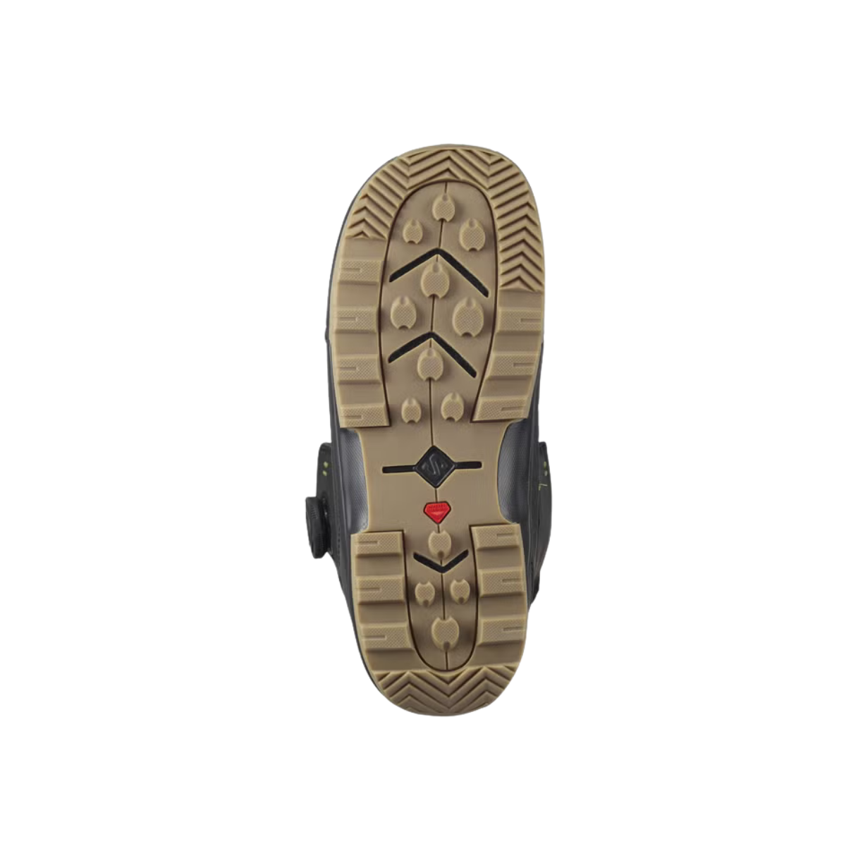 Salomon Bottes De Planches À Neige Echo Dual Boa - Homme