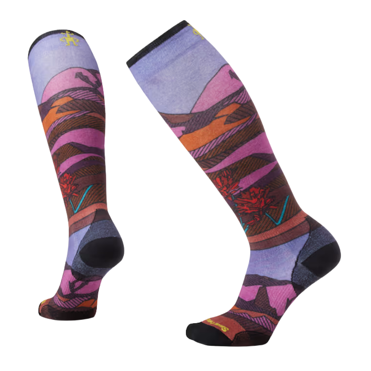 sw002165

Smartwool Bas Ski Zero Cushion Floral Field Print - Femme - PICANTE