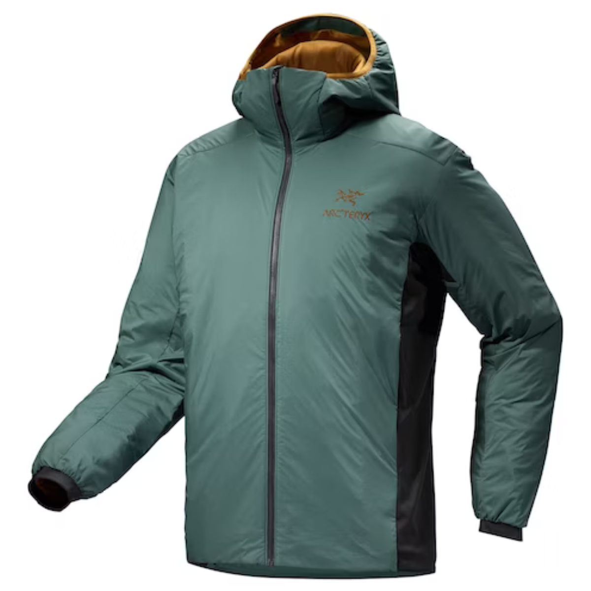 Arc'teryx Veste À Capuchon Atom - Homme