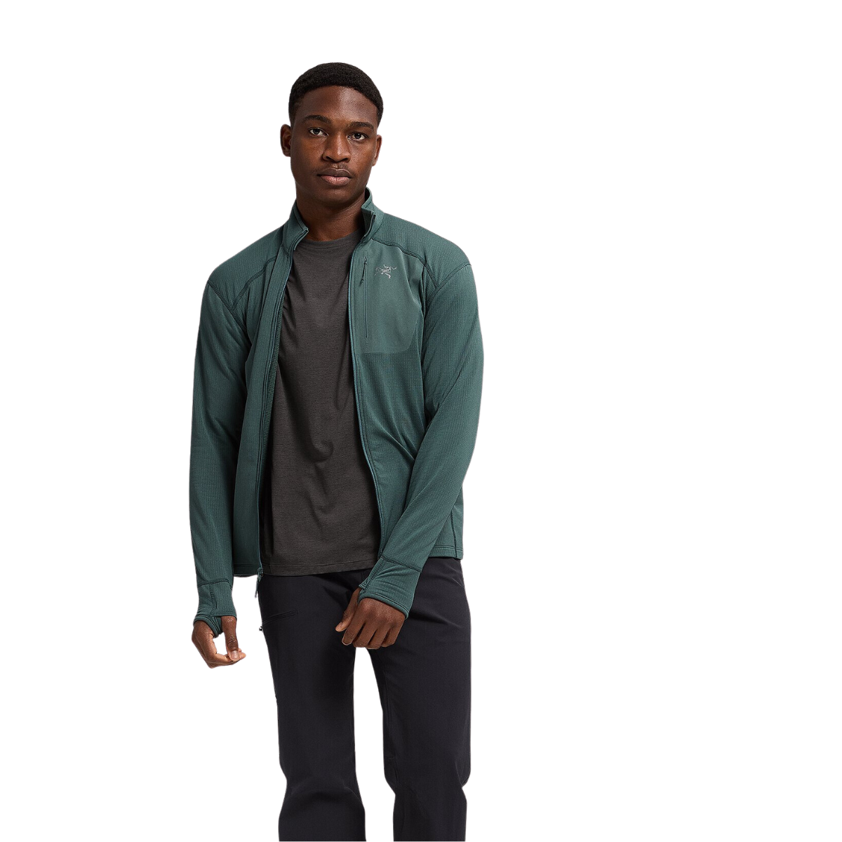 Arc'teryx Veste Delta - Homme