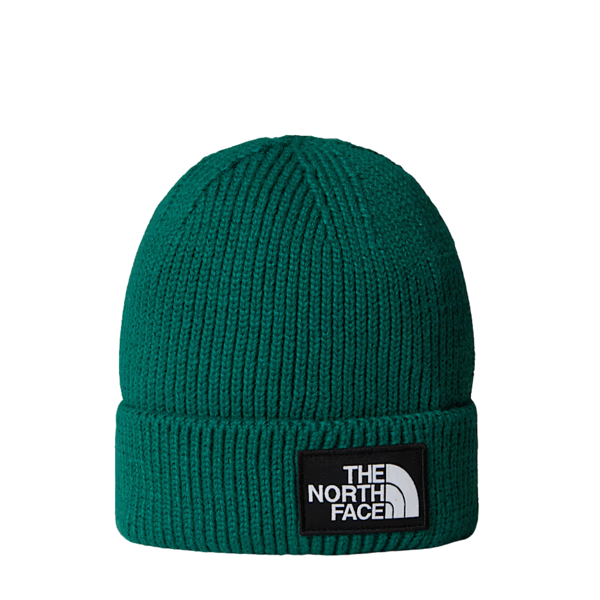 The North Face Tuque Salty Lined Beanie - Unisexe