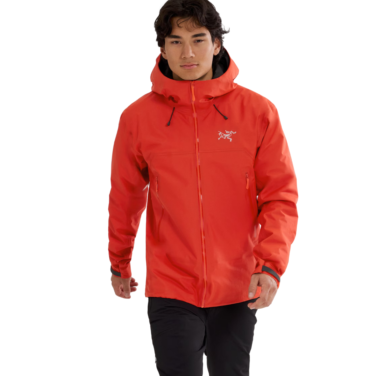  x000009684

Arc'teryx Veste Beta SL - Homme - DYNASTIE