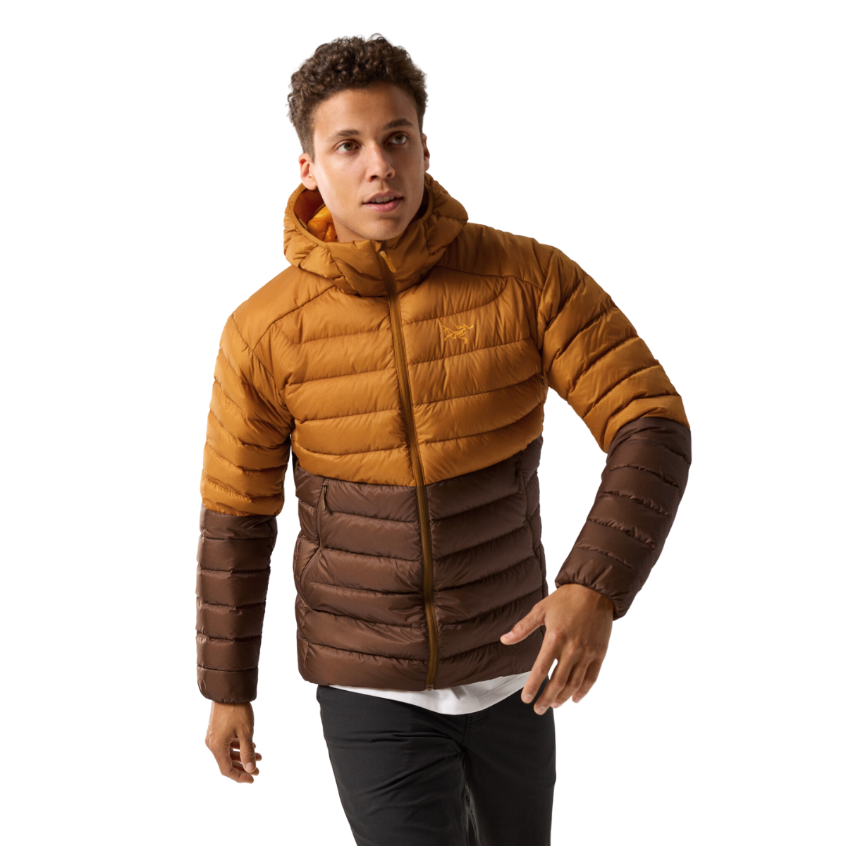 Arc'teryx Veste À Capuchon Cerium - Homme