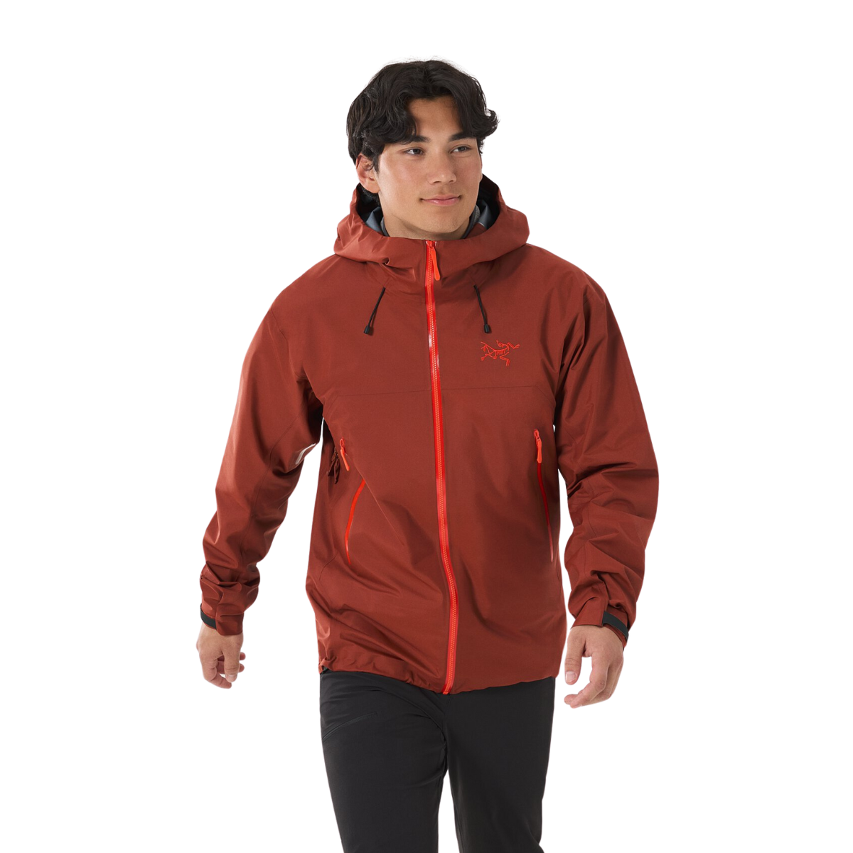 Arc'teryx Veste Beta SL GORE-TEX- Homme  x000009681 - SEQUOIA/SOLARIS