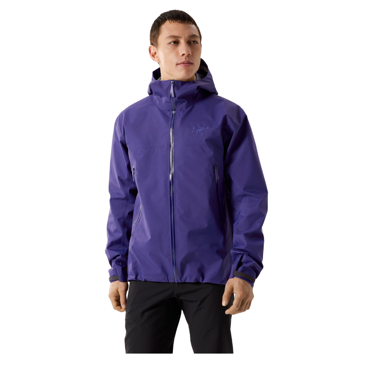  x000007726

Arcteryx Veste Beta - Homme - SOULSONIC
