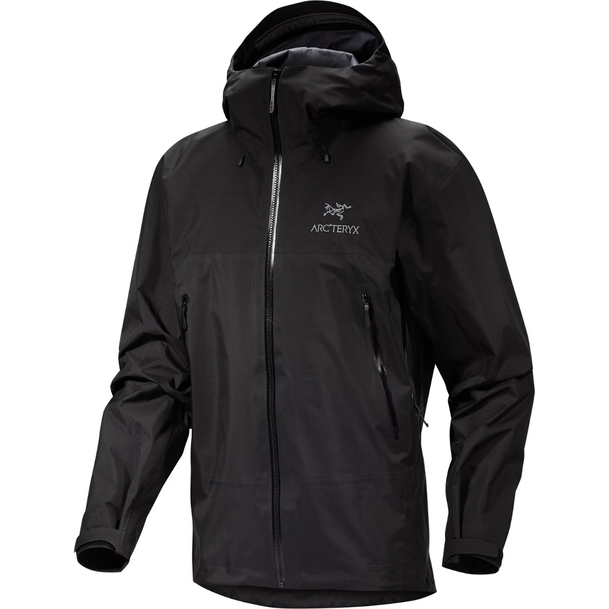 Arc'teryx Veste Beta AR Stormhood - Homme