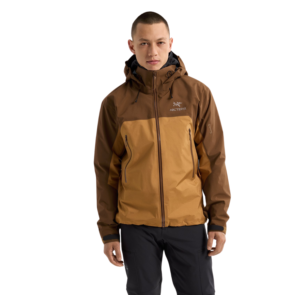 Arc'teryx Veste Beta AR - Homme