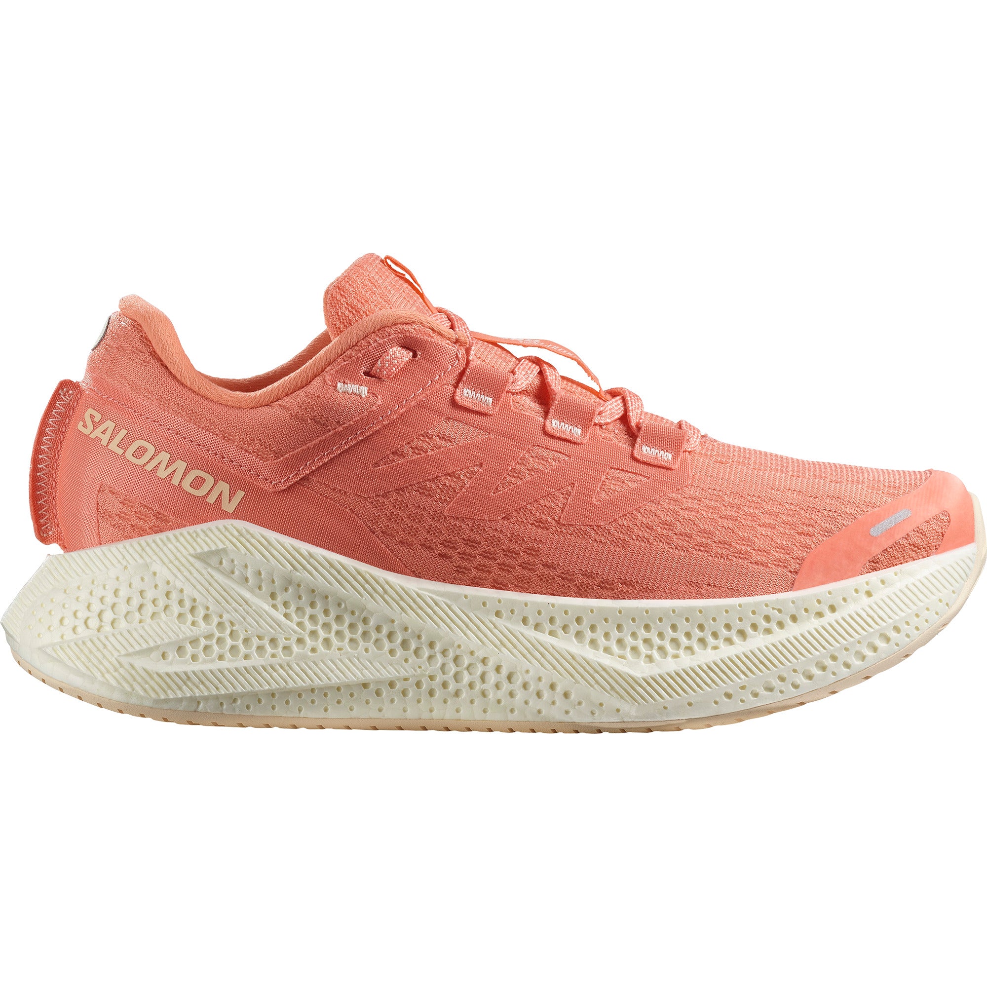  l47810700

Salomon Chaussures de Course Sur Route Aero Glide 3 - Femme - FUCO/VANILA/TENDER