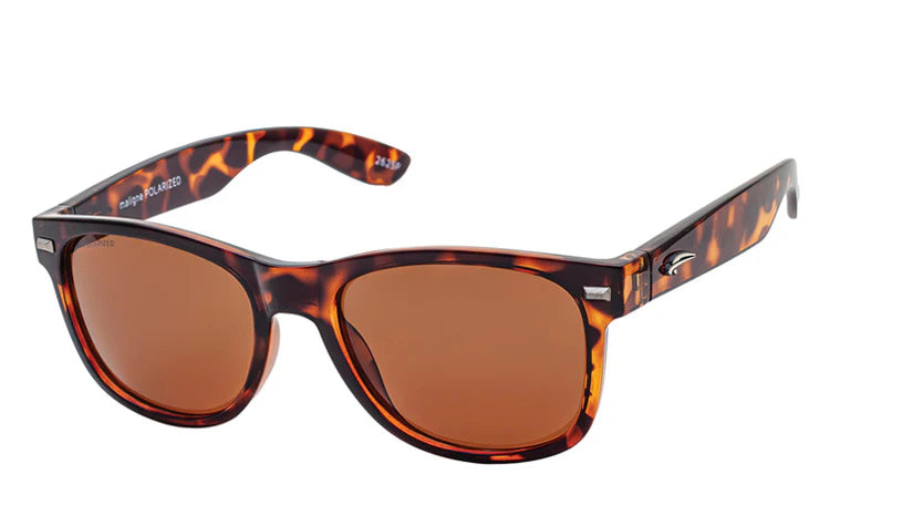 628979021361
ATMOSPHERE LUNETTES DE SOLEIL MALIGNE - HOMME - ASSORTIE