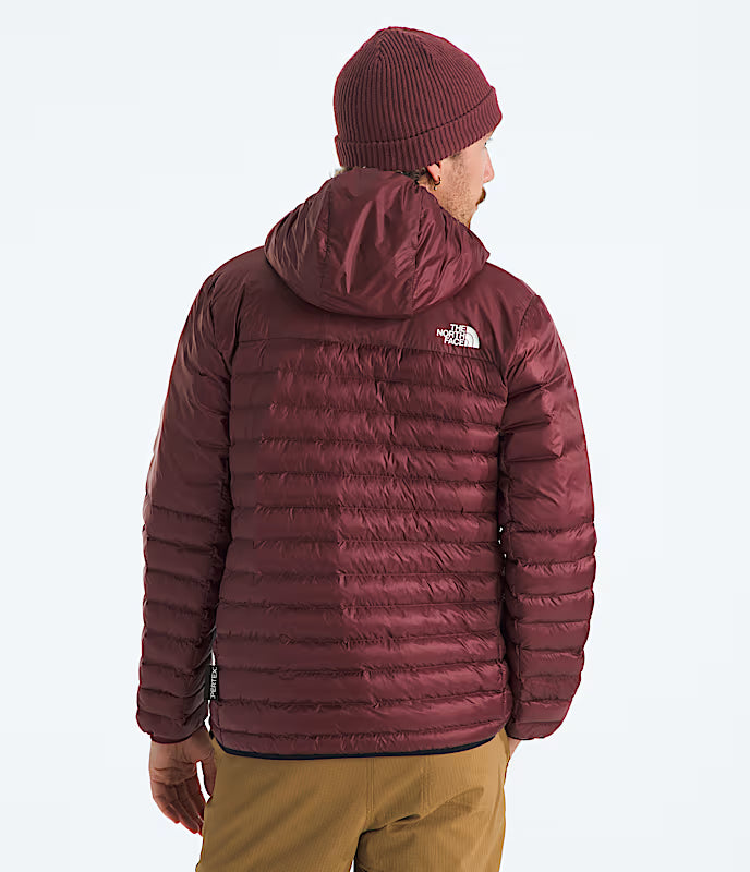The North Face Veste À Capuchon Terra Peak - Homme