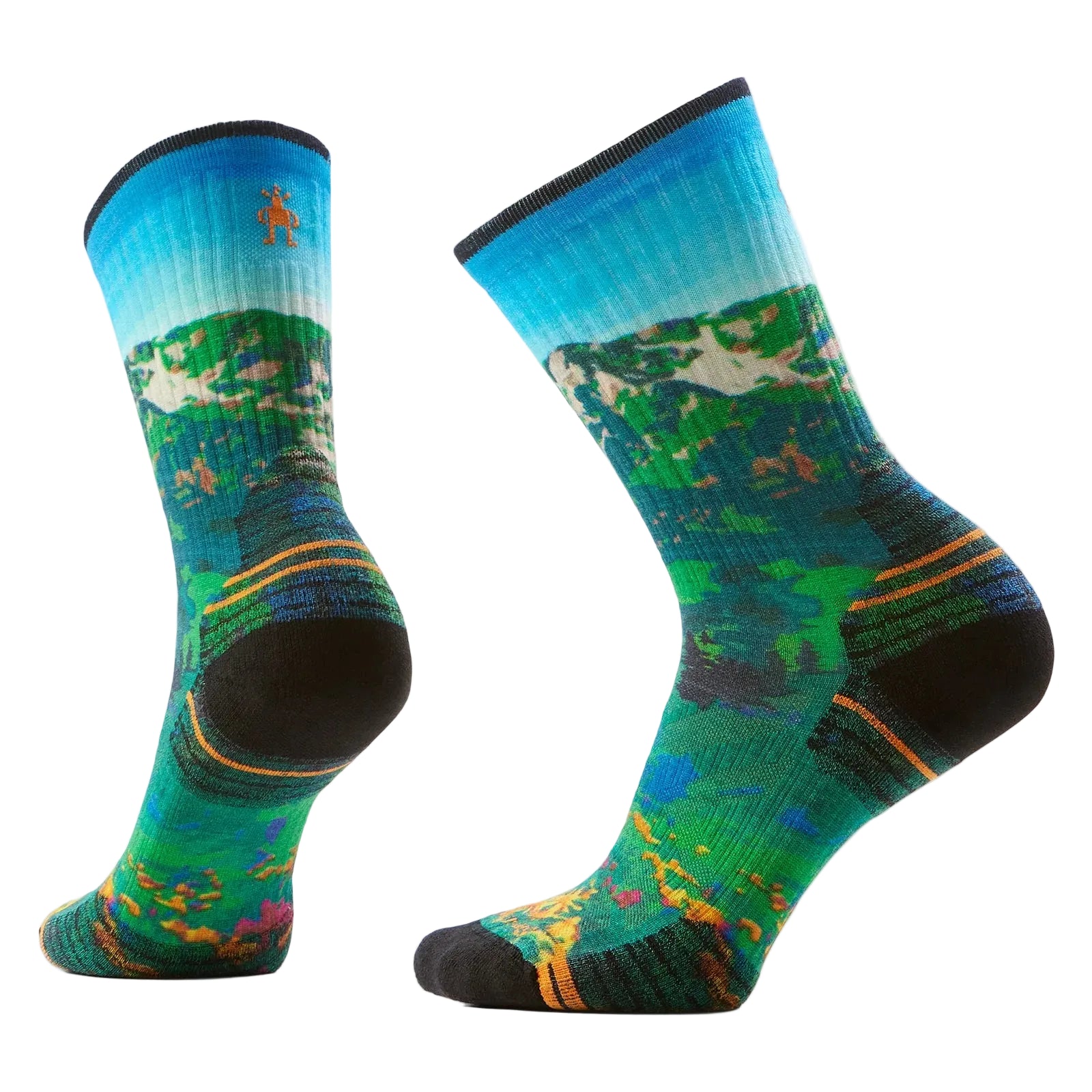 sw003030
SMARTWOOL BAS HIKE TARGETED CUSHION MOUNTAIN LAKE PRINT - FEMME - CAPRI/810