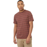 Tentree T-Shirt Treeblend Stripe - Homme