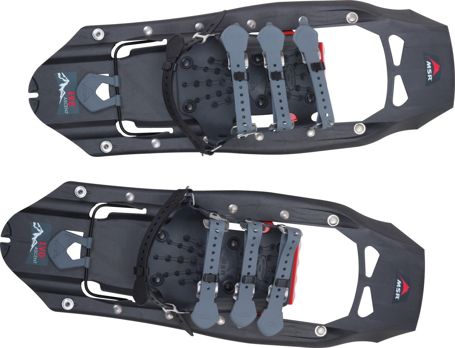 MSR Raquettes Evo Ascent 22 - Unisexe