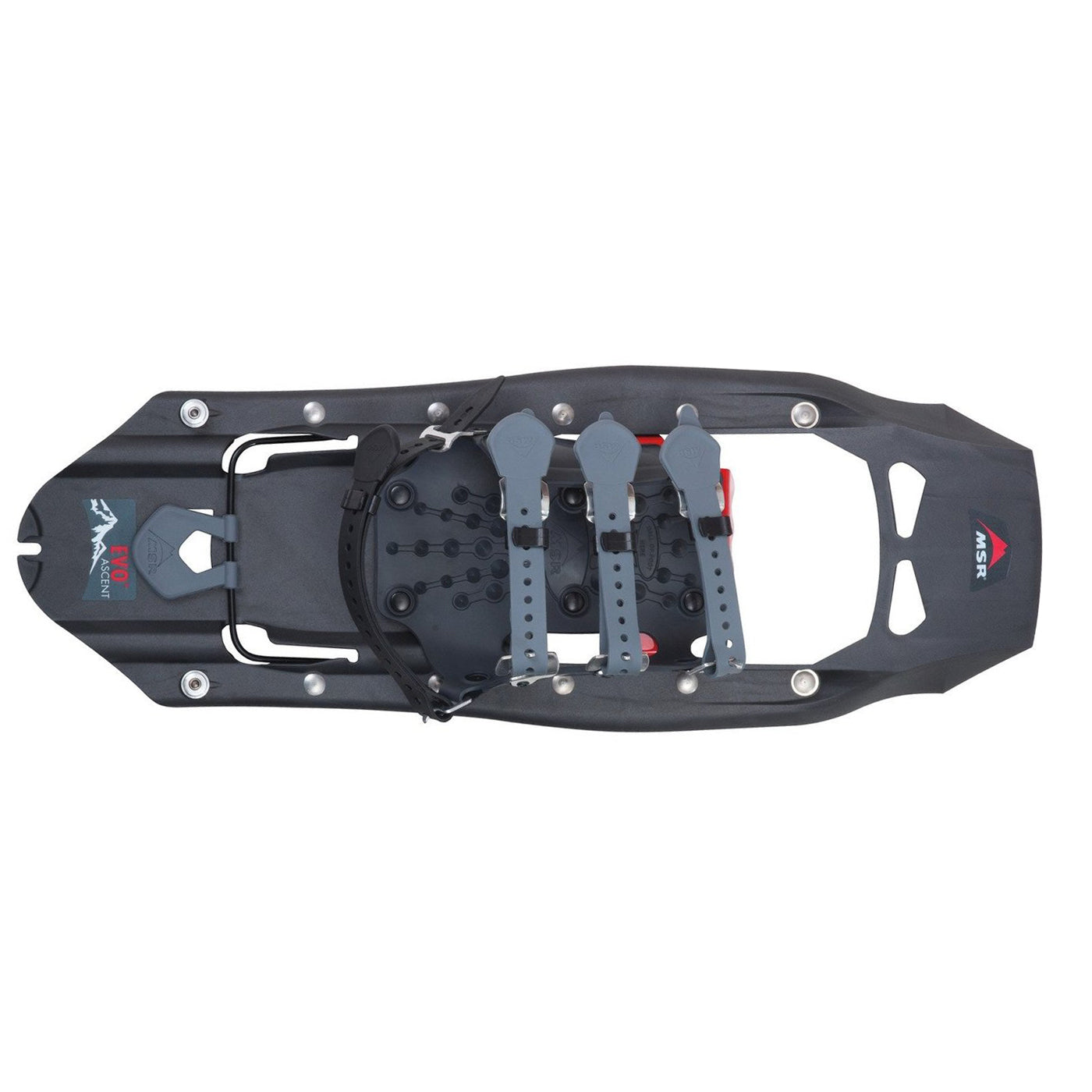 MSR Raquette Evo Ascent 22 - Unisexe 05886 STONE GREY