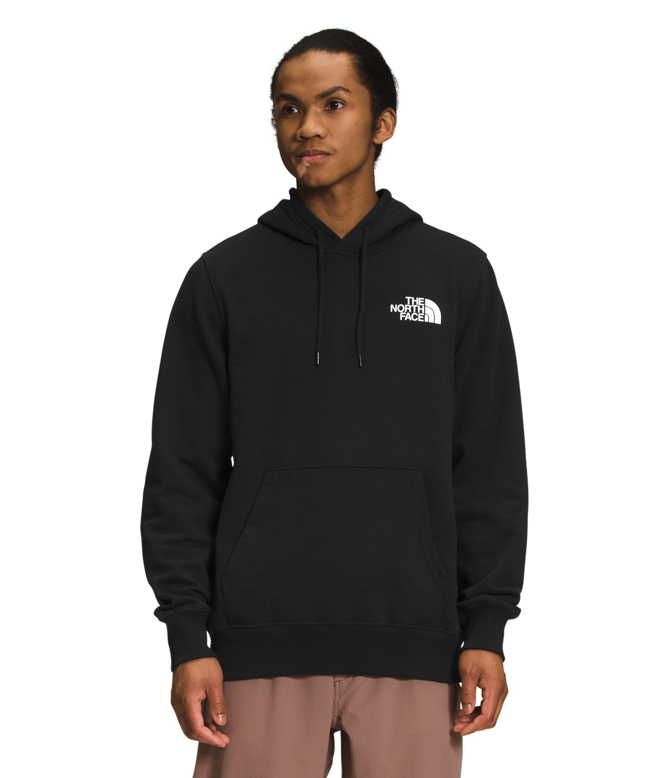 The North Face Chandail À Capuchon Box Nse - Homme  nf0a7uns - NOIR