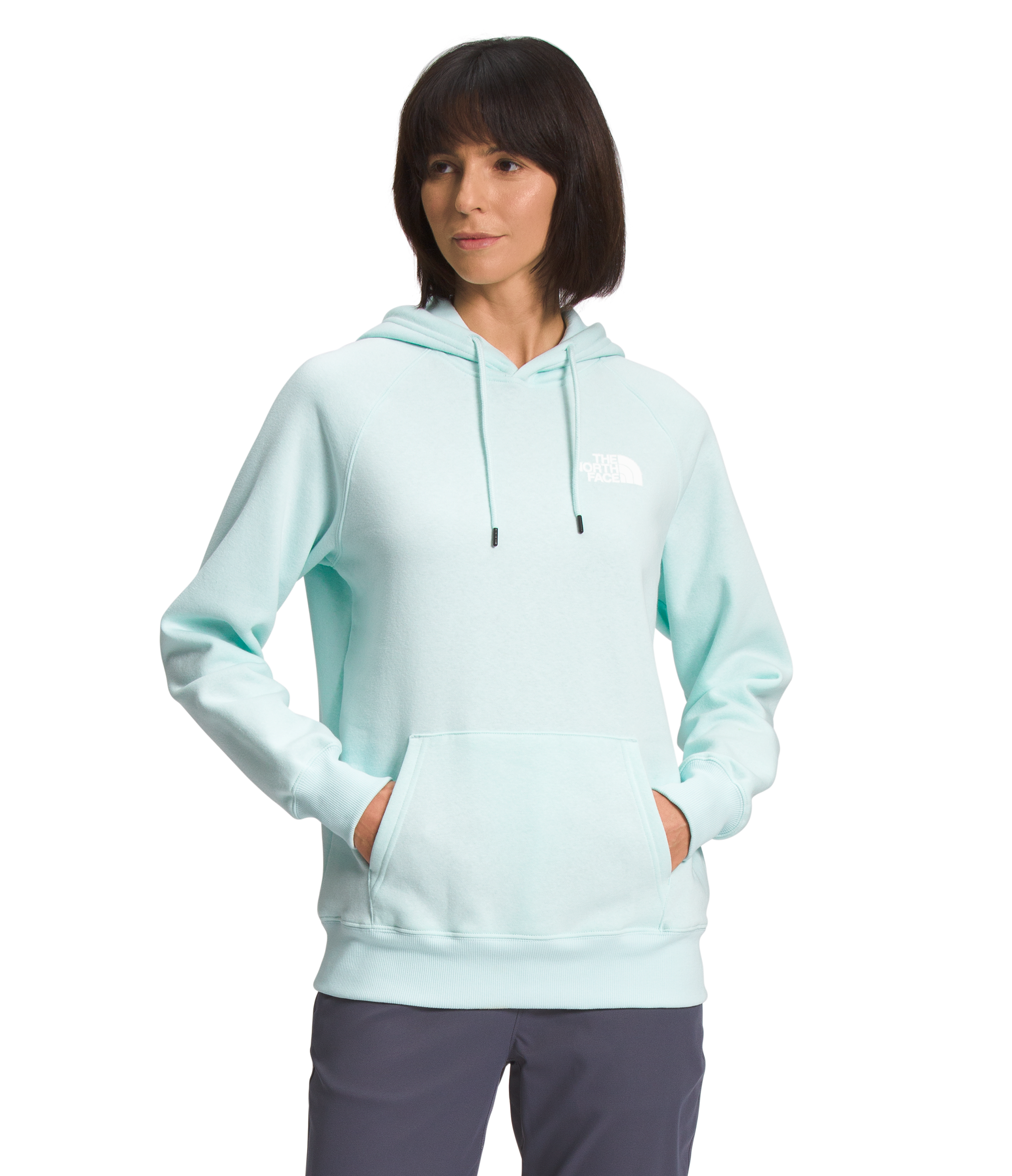 The North Face Chandail À Capuchon Box NSE - Femme nf0a7uon - SKYLIGHT BLUE/ FLORAL